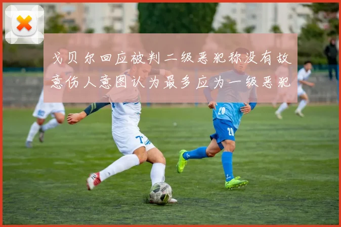 戈贝尔回应被判二级恶犯称没有故意伤人意图认为最多应为一级恶犯