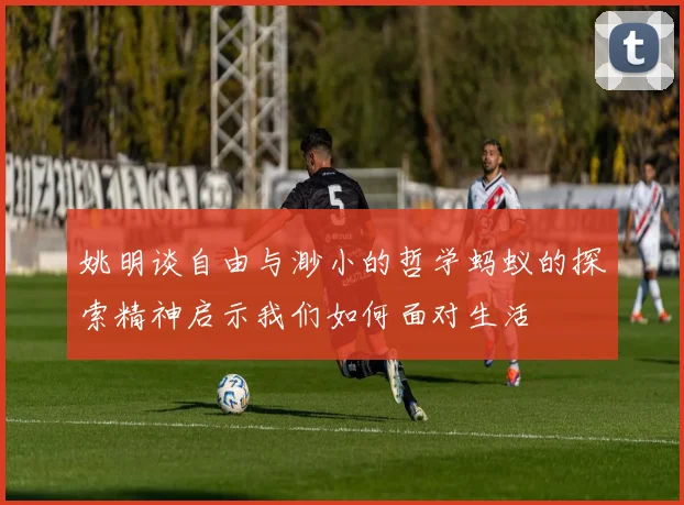 姚明谈自由与渺小的哲学蚂蚁的探索精神启示我们如何面对生活