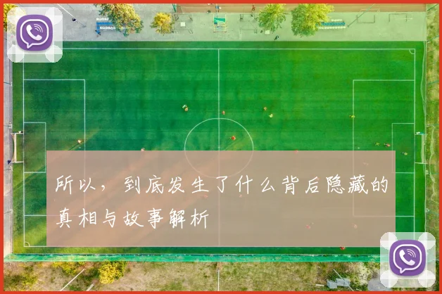 所以，到底发生了什么背后隐藏的真相与故事解析